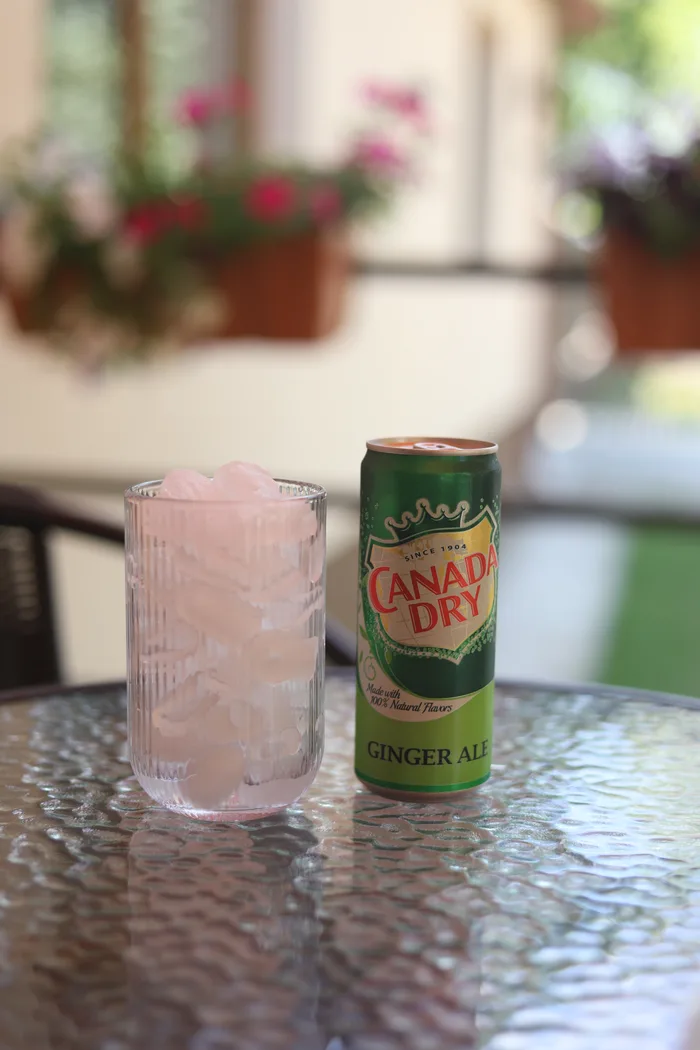 Canada Dry Ginger Ale